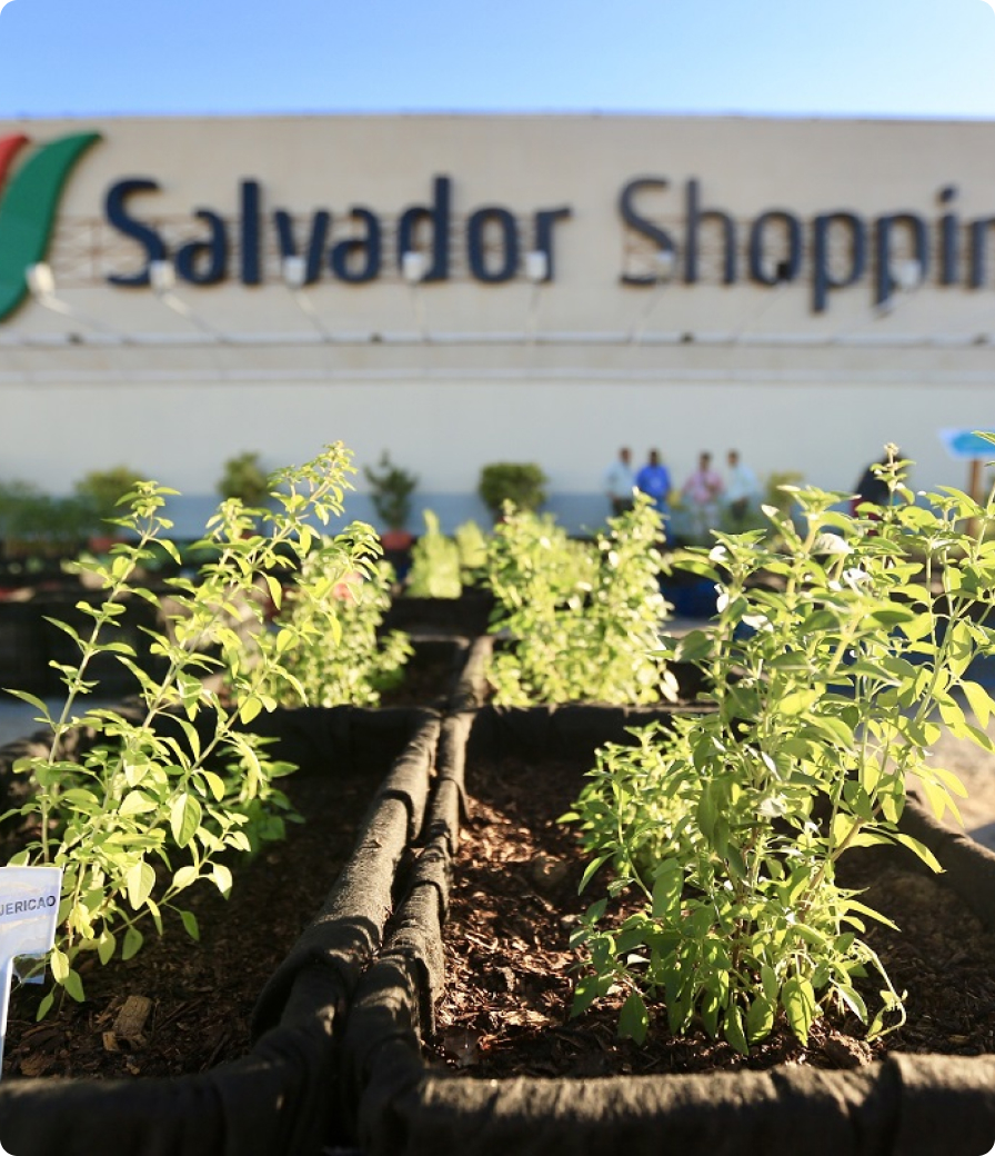 Salvador Shopping ha sido diseñado y ha sido desarrollado pensando en la sostenibilidad. El compromiso con el medio ambiente es uno de nuestros principales principios rectores.
